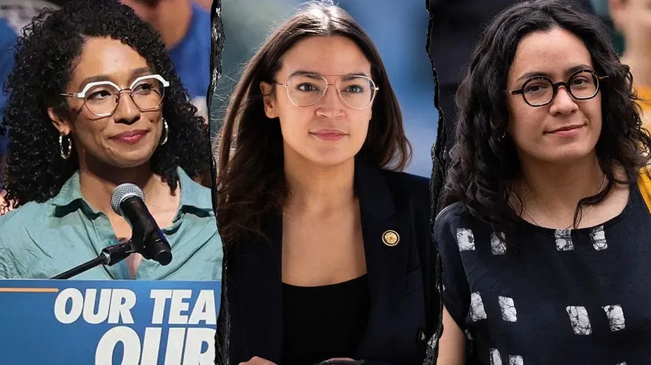 Democratic Infighting Intensifies as Progressive Leader Challenges Treatment of Socialist Wing